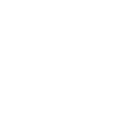 Olga Kassian Logo Home